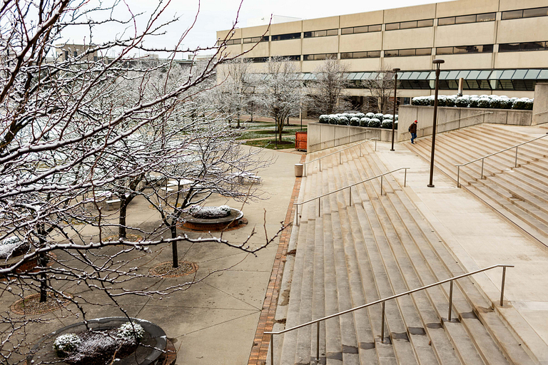 Trees behind the library are covered in snow.