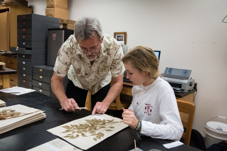 Eric Knox and a student work at a desk at the IU Herbarium