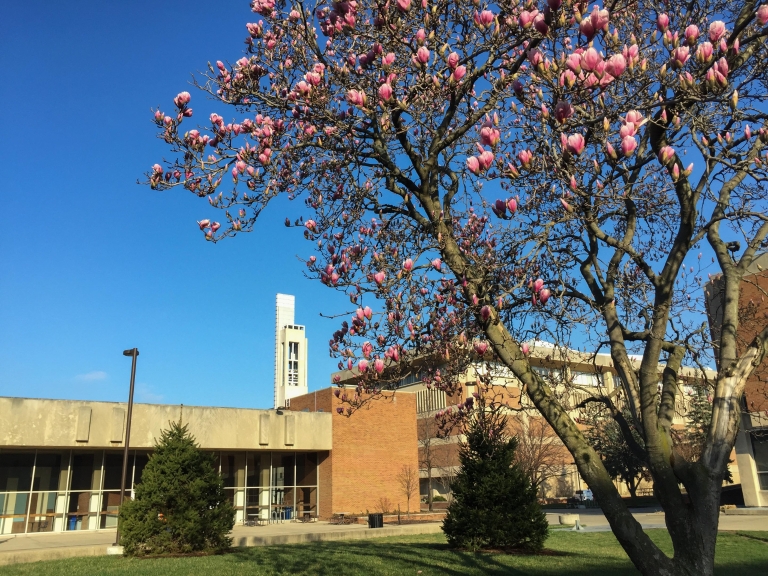 Cavanaugh Hall