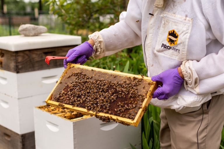 Dr. Steven Blanchard holding a frame during the beekeeping class