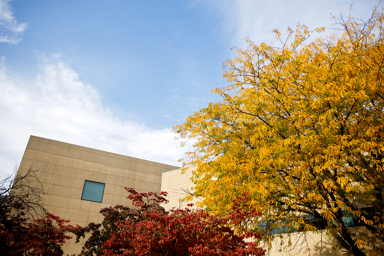 Fall on the IU Bloomington campus