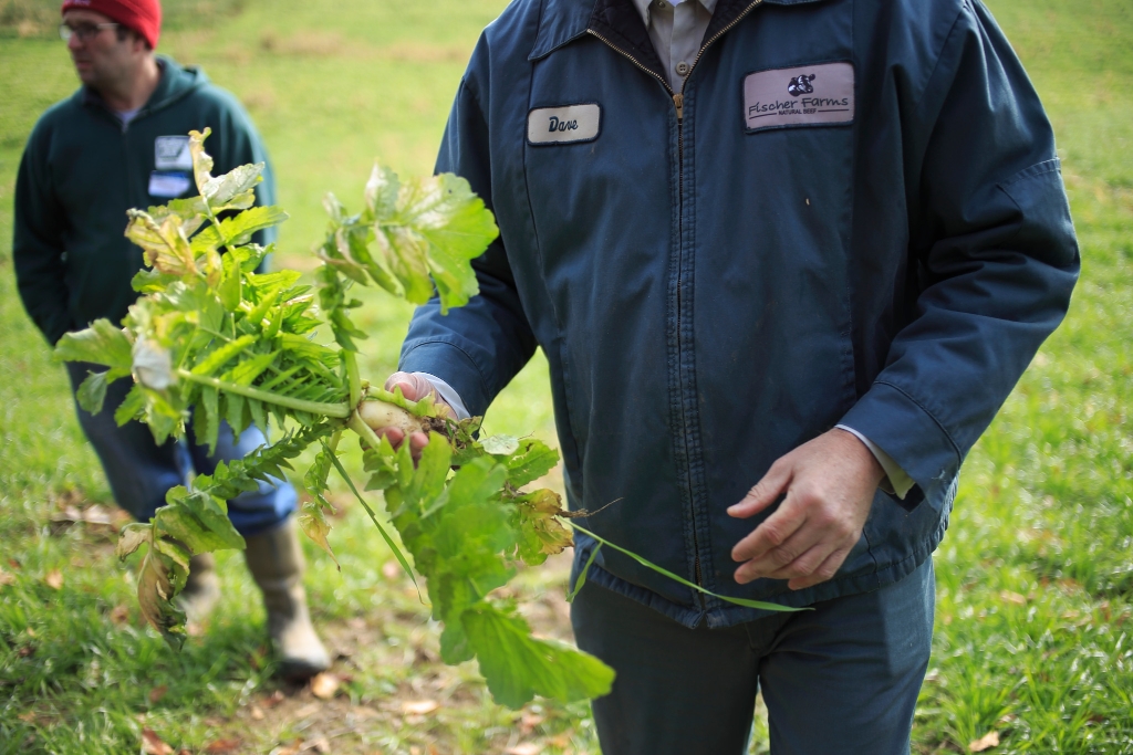 Dave Fischer holds a turnip