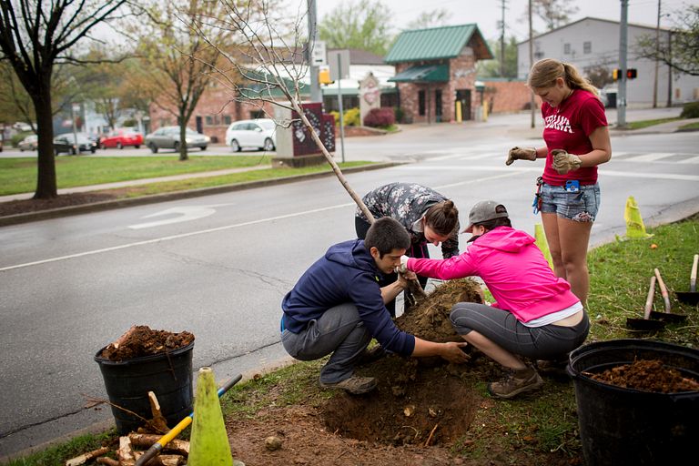 School volunteers plant a tree on Indiana Avenue.