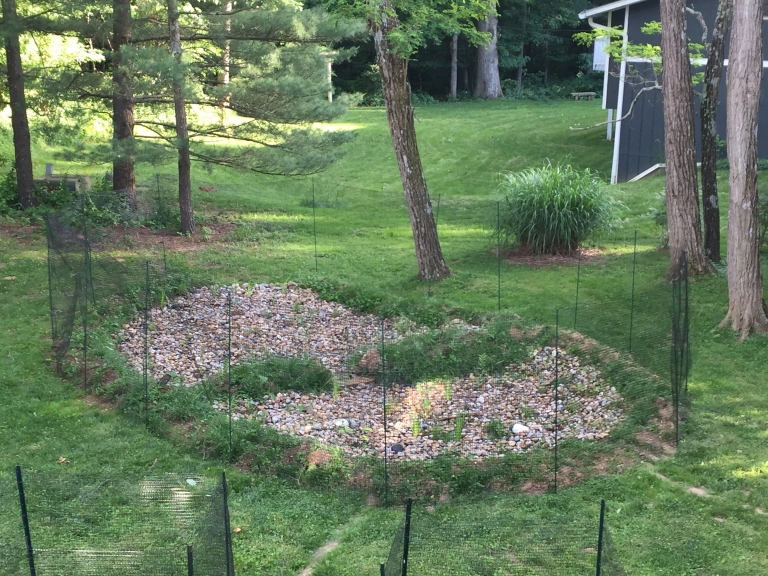 Rain garden