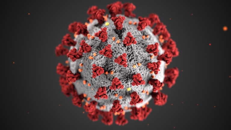 A model of the corona-like structure exhibited by coronaviruses.