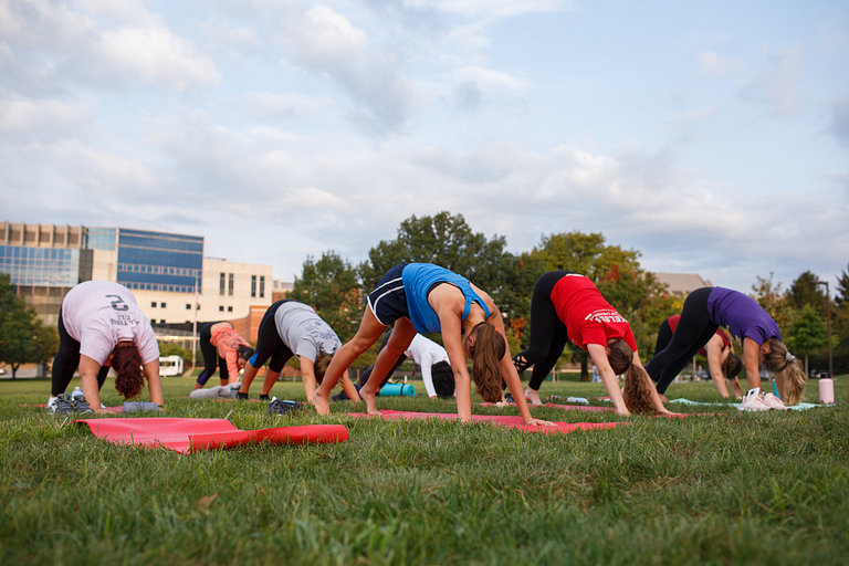 Students doing yoga poses on the lawn.