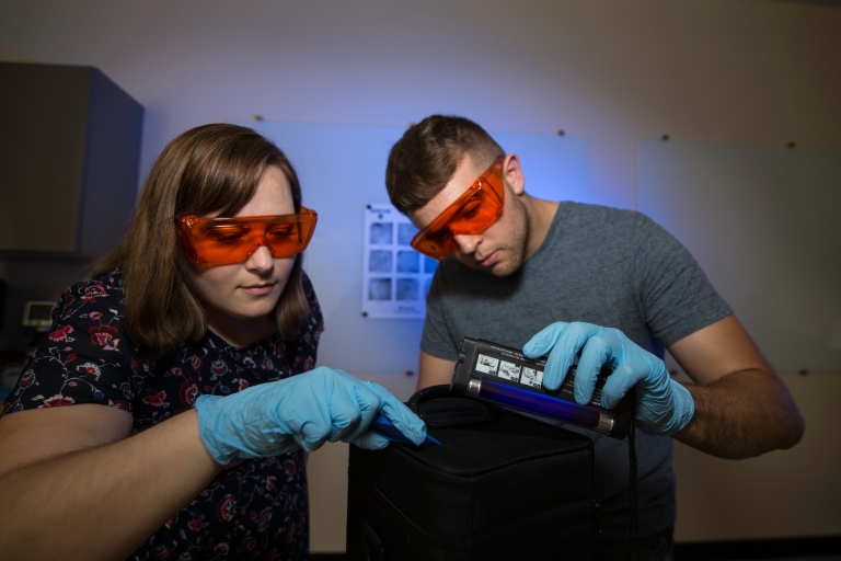 Students use a black light in the lab