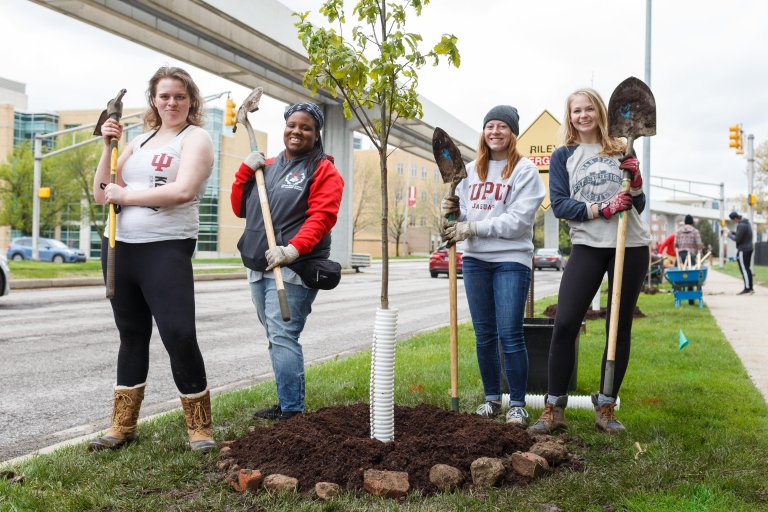 Students planted a tree.