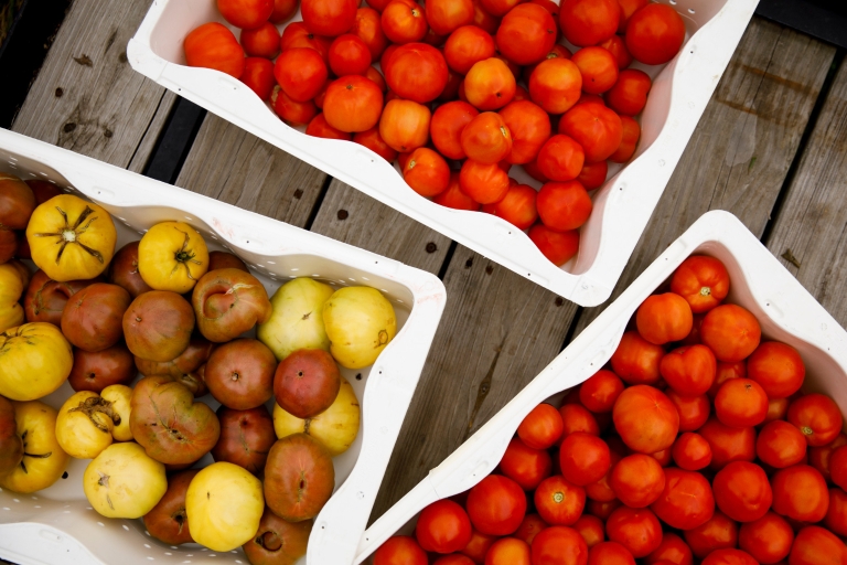 Potatoes and tomatoes in bins on a picnic table