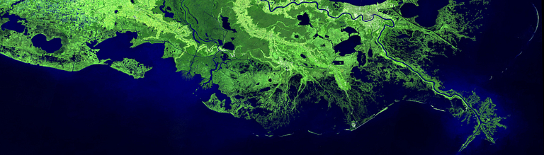 A satellite image shows the Mississippi River Delta coastal region.