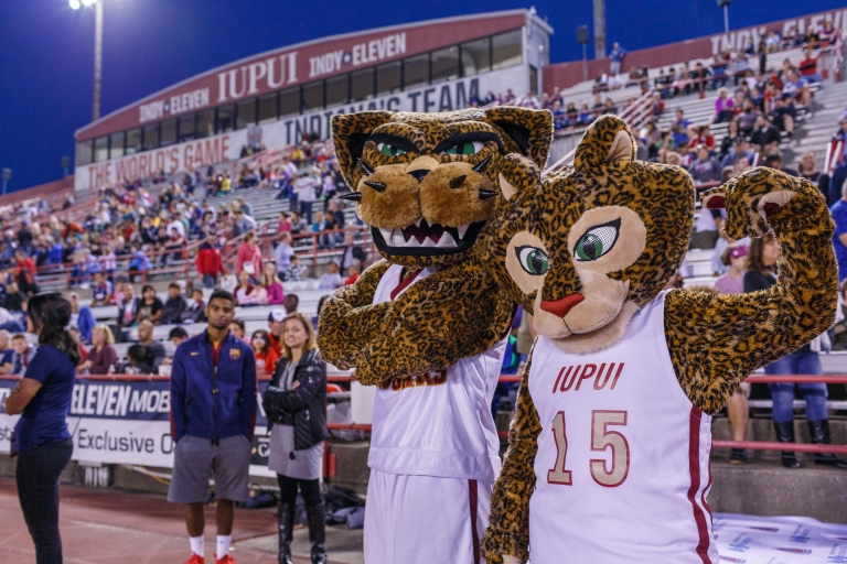 Jawz and Jinx hang out at the Indy Eleven game.