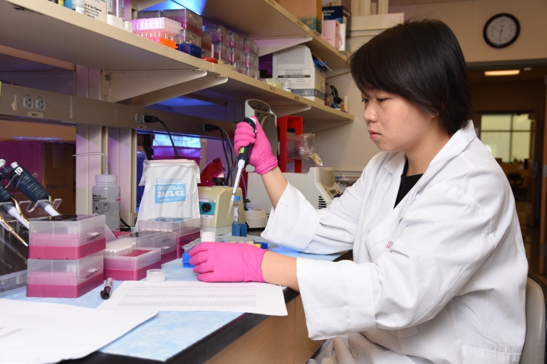 A female IU researcher uses a pipette to transfer liquid in a laboratory.
