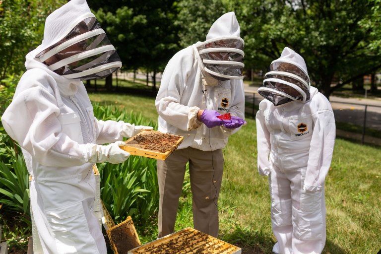 A beekeeping class at IUPUI