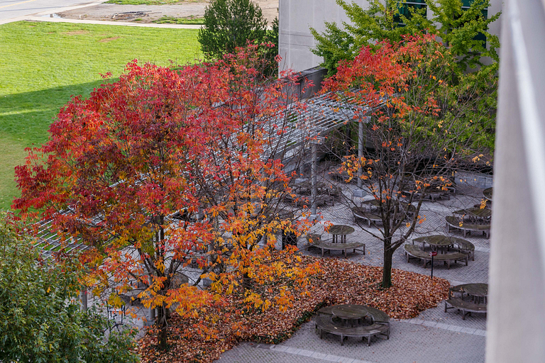 Courtyard area with picnic tables outside Inlow Hall