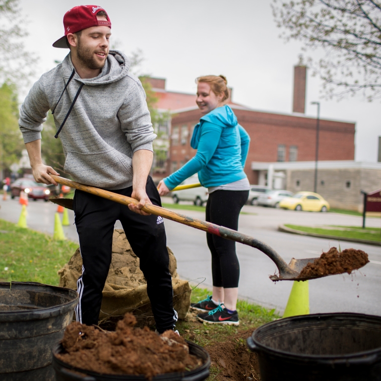 Students plant trees along Indiana Avenue during a 2016 Arbor Day event.