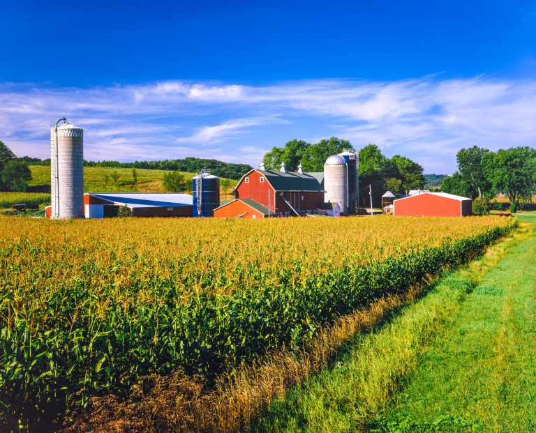 A photo of a farm.