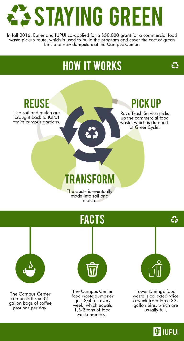 Infographic on food waste