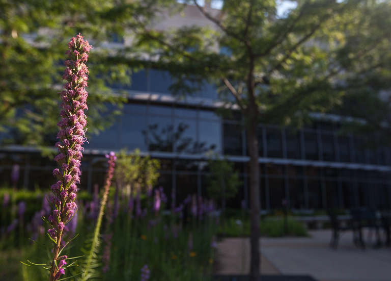 An exterior view of the Informatics and Communications Technology Complex at IUPUI