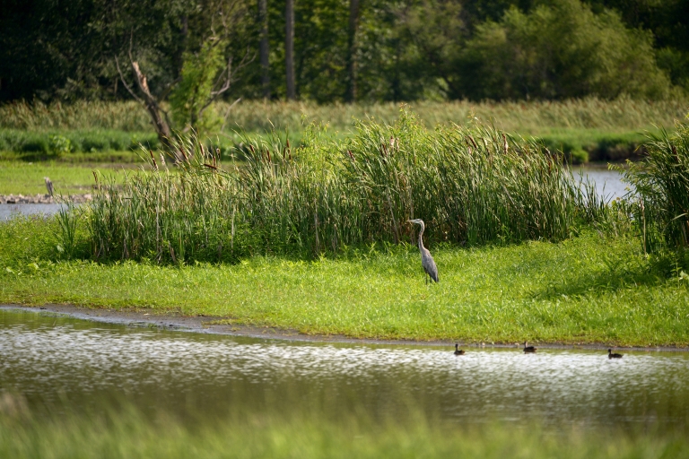 IU’s Conservation Law Center raises awareness of water resources ...