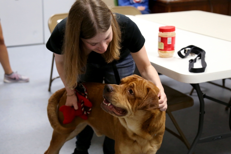 Sam Cohen with a shelter dog